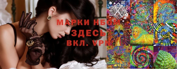 дмт Белокуриха